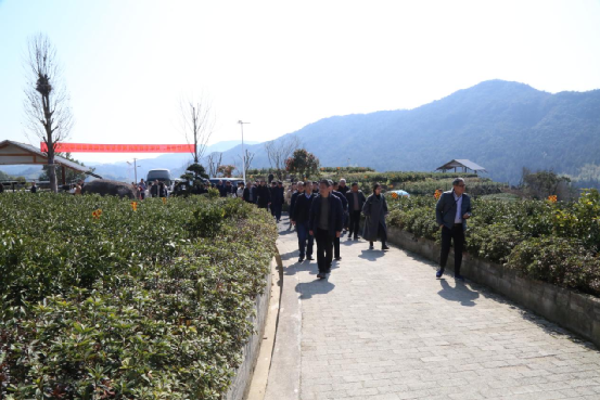 关于科技创新，赋能产业发展——2020-2022浙江省茶叶产业技术项目总结交流会在泰顺举行的消息(32)