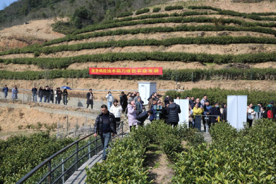 关于科技创新，赋能产业发展——2020-2022浙江省茶叶产业技术项目总结交流会在泰顺举行的消息(33)
