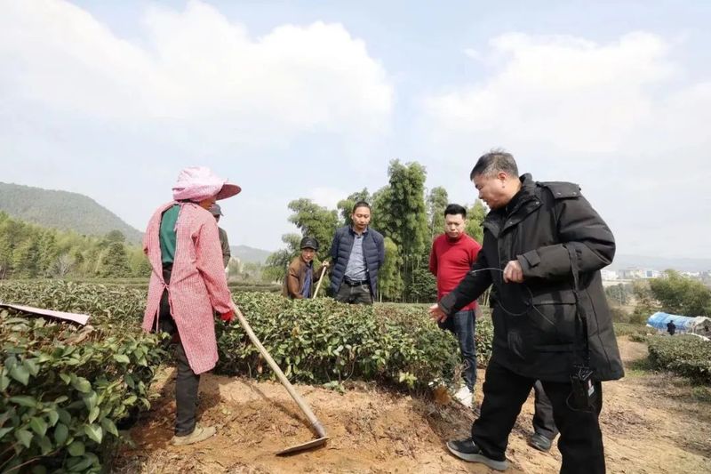 有关于建宁：林深水美育好茶 生态茶园管护忙的相关信息