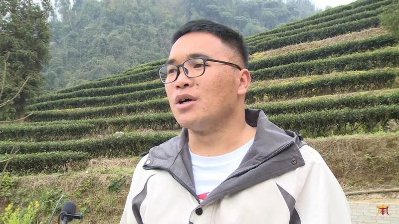 关于广南：专家茶商茶人齐聚一堂 共话底圩茶产业发展的内容(10)