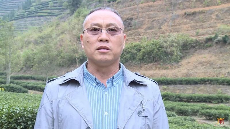 关于广南：专家茶商茶人齐聚一堂 共话底圩茶产业发展的内容(3)