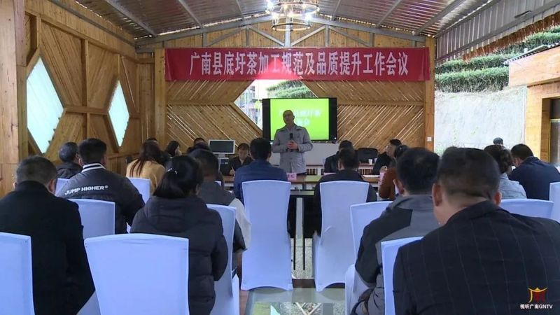 关于广南：专家茶商茶人齐聚一堂 共话底圩茶产业发展的内容(4)