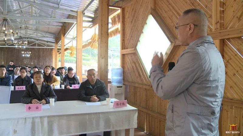 关于广南：专家茶商茶人齐聚一堂 共话底圩茶产业发展的内容(2)