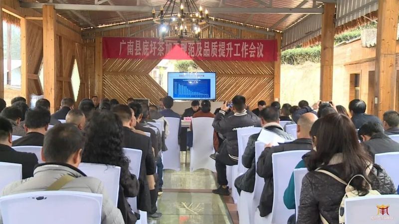 关于广南：专家茶商茶人齐聚一堂 共话底圩茶产业发展的内容