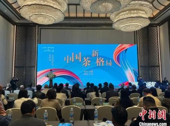 关于专家大咖热议茶产业 聚焦新趋势、新发展的内容
