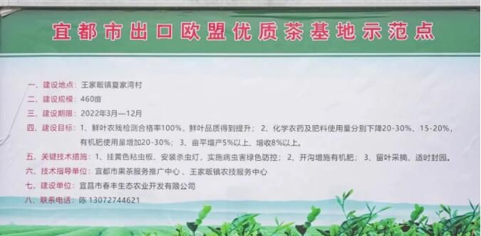 关于“把脉”春耕备耕 宜昌农技专家到茶园开“良方”的相关内容(3)