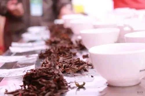 有关于《极限挑战》宝藏团拜访的红茶产区，有什么特别之处？的最新消息(3)