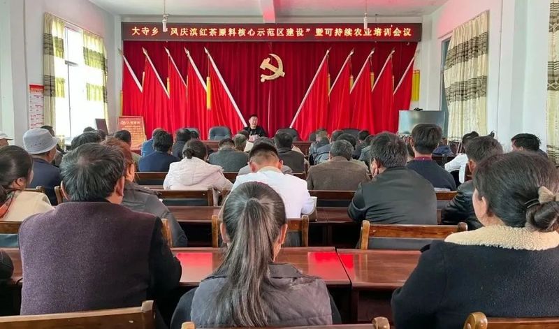 有关于大寺乡“凤庆滇红茶原料核心示范区建设”暨可持续农业 培训圆满结束的内容