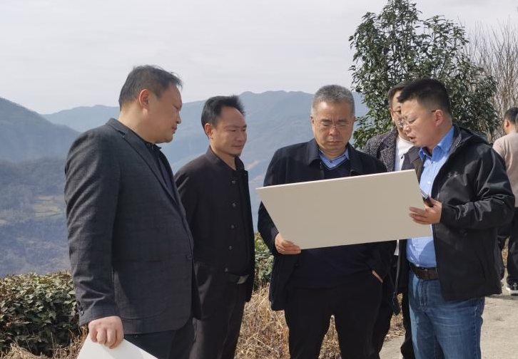 关于以茶为媒！北京客商来镇巴调研考察茶产业的消息
