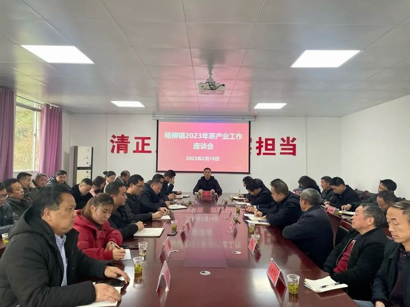 有关于杨柳镇2023年茶产业发展工作座谈会召开的资讯