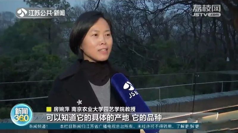 有关于茶叶也能做“亲子鉴定”？的内容