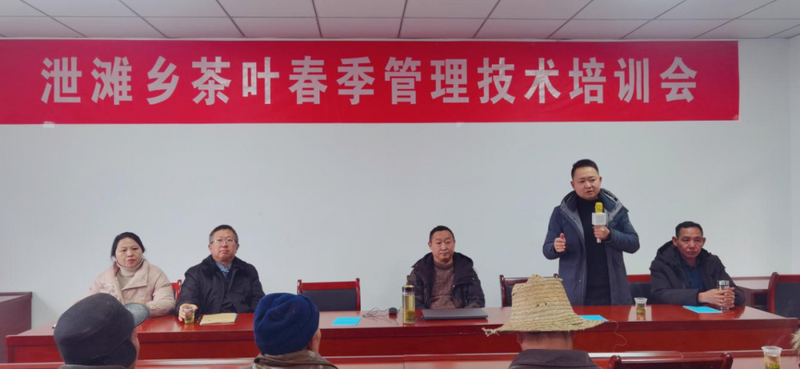 关于秭归乡小叶子聚大合力，共助茶产业发展的新闻(3)