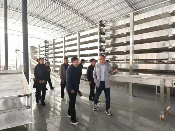 关于云南茶叶所何青元研究员一行应邀到西畴县、广南县开展茶产业调研的资讯(1)