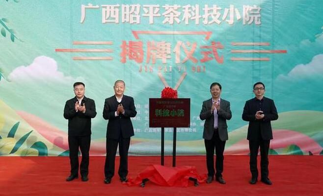 关于广西昭平：央企帮扶 小茶叶铺就产业致富康庄道的相关内容(3)