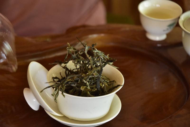 有关于普洱早春茶几月份采摘上市的资讯(2)