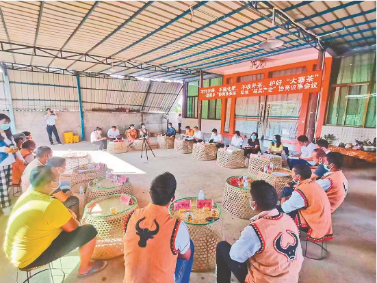 关于耿马县政协“协商在基层”助推大寨茶产业高质量发展记的内容