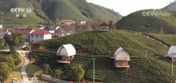 有关于从卖茶叶到卖风景 产业链条推动茶文旅融合发展的内容(2)