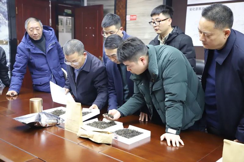 有关于安化县茶叶产业链联合党委组织召开安化黑茶毛茶标准样定制会议的资讯(2)