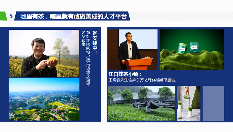 关于年会观点，傅传耀：乡村振兴 茶有担当的内容(9)