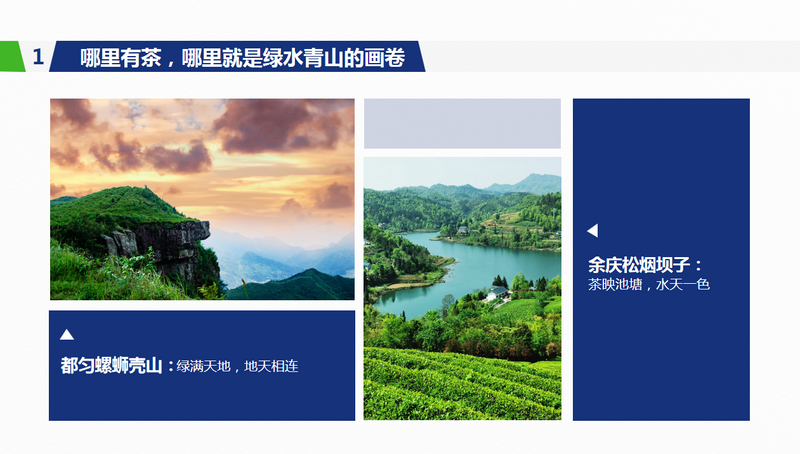 关于年会观点，傅传耀：乡村振兴 茶有担当的内容(5)