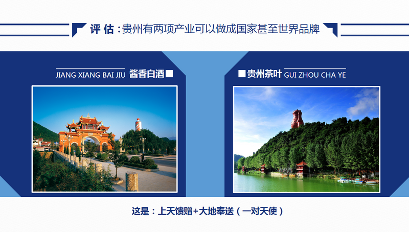 关于年会观点，傅传耀：乡村振兴 茶有担当的内容(3)