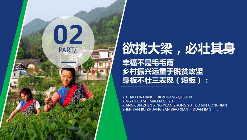 关于年会观点，傅传耀：乡村振兴 茶有担当的内容(10)
