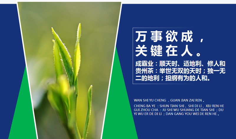 关于年会观点，傅传耀：乡村振兴 茶有担当的内容(15)
