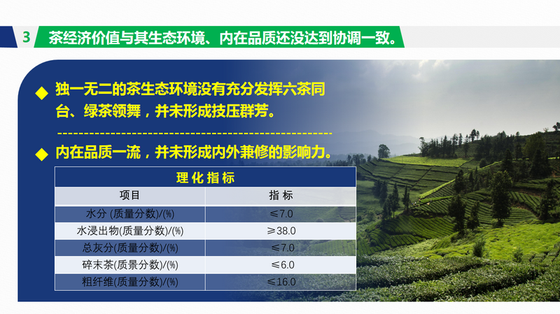 关于年会观点，傅传耀：乡村振兴 茶有担当的内容(14)