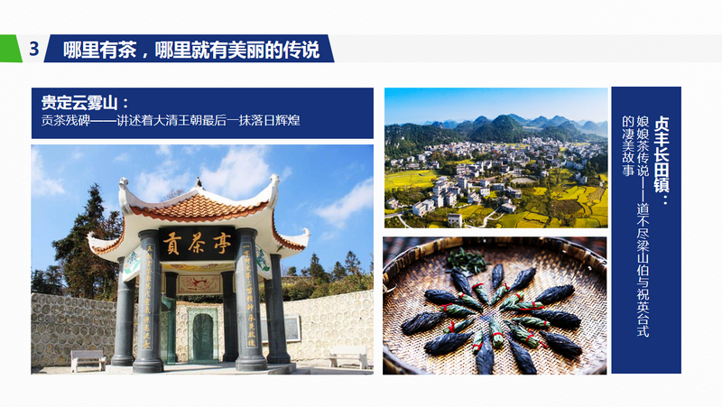 关于年会观点，傅传耀：乡村振兴 茶有担当的内容(7)