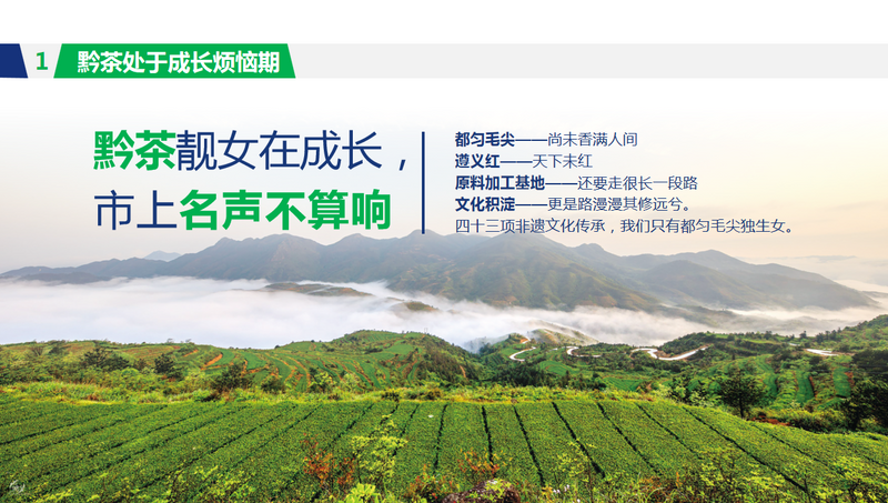 关于年会观点，傅传耀：乡村振兴 茶有担当的内容(11)