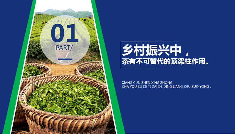 关于年会观点，傅传耀：乡村振兴 茶有担当的内容(4)