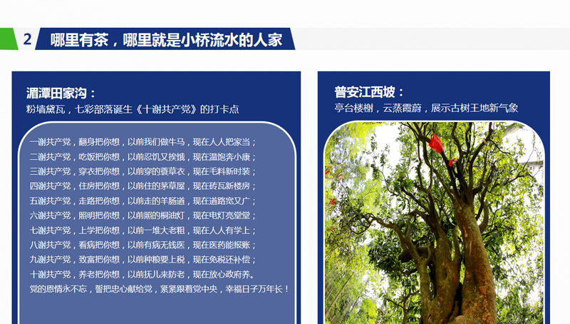 关于年会观点，傅传耀：乡村振兴 茶有担当的内容(6)