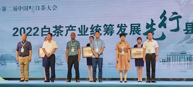 关于中国大叶白茶之乡——景谷大白茶原产地春茶开采的资讯(8)