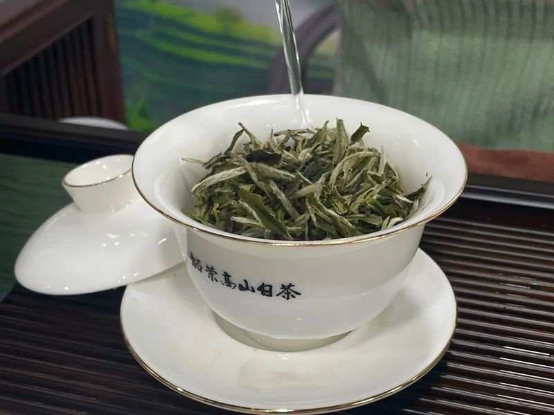 有关于中国白茶城服务中心启动，到福州“柘”里品正宗高山白茶！的最新消息(7)