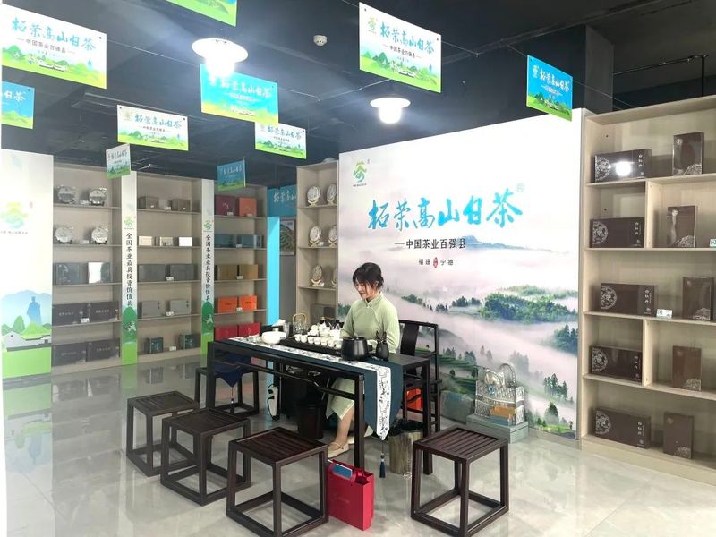 有关于中国白茶城服务中心启动，到福州“柘”里品正宗高山白茶！的最新消息(6)