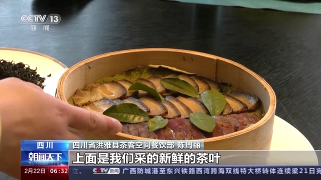 有关于2023年春茶全面开采，开采期较去年提前的内容(1)