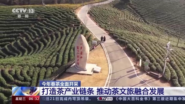 有关于2023年春茶全面开采，开采期较去年提前的内容(2)