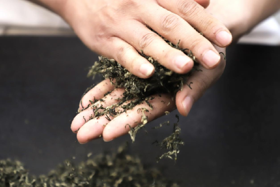 有关于不愧是“散装江苏”，连喝茶都能内卷的新闻(5)