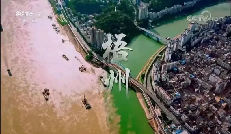 有关于梧州再度登上央视热门综艺，嘉宾直呼：这个城市太值得去了！的相关信息(1)