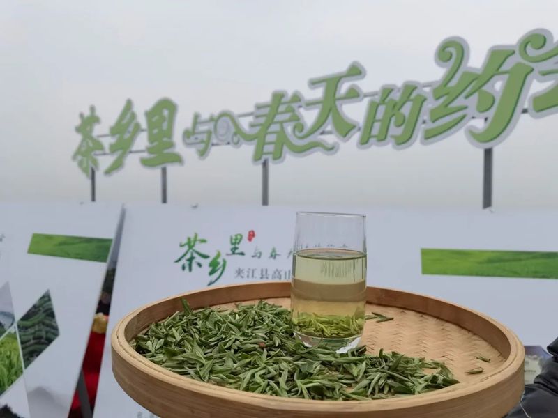 关于春天里 在夹江来一场与高山云雾茶的美丽“约会”的资讯(11)