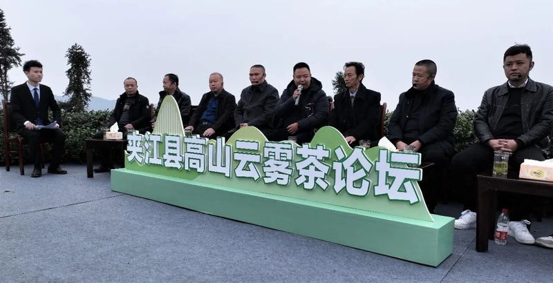 关于春天里 在夹江来一场与高山云雾茶的美丽“约会”的资讯(2)