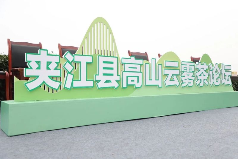 关于春天里 在夹江来一场与高山云雾茶的美丽“约会”的资讯(1)