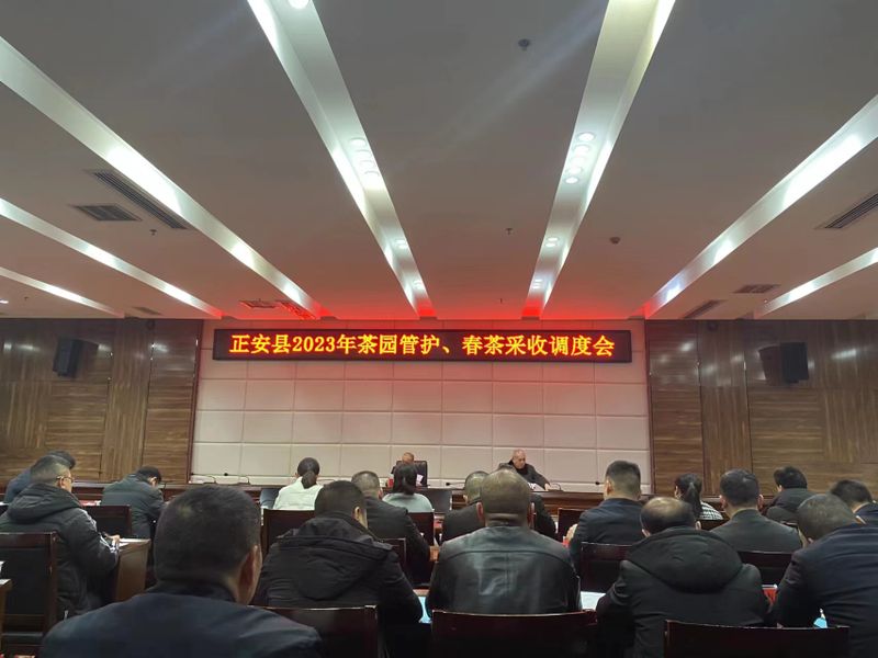关于正安县||2023年茶园管护、春茶采收调度会的相关内容(1)