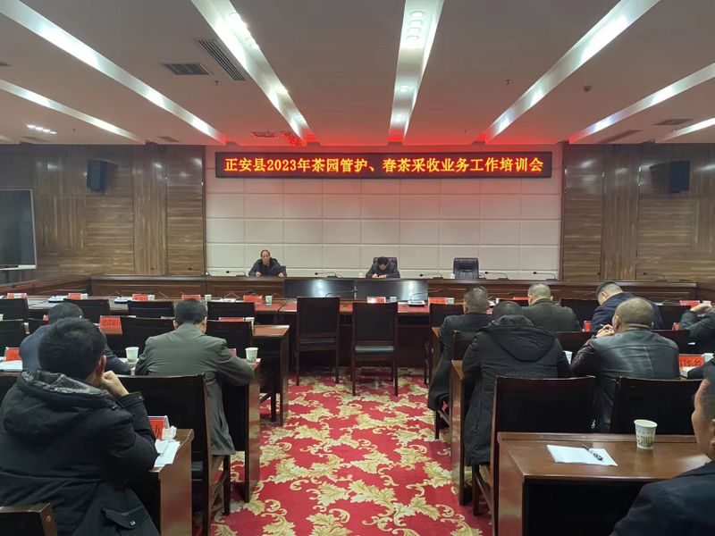 关于正安县||2023年茶园管护、春茶采收调度会的相关内容(2)