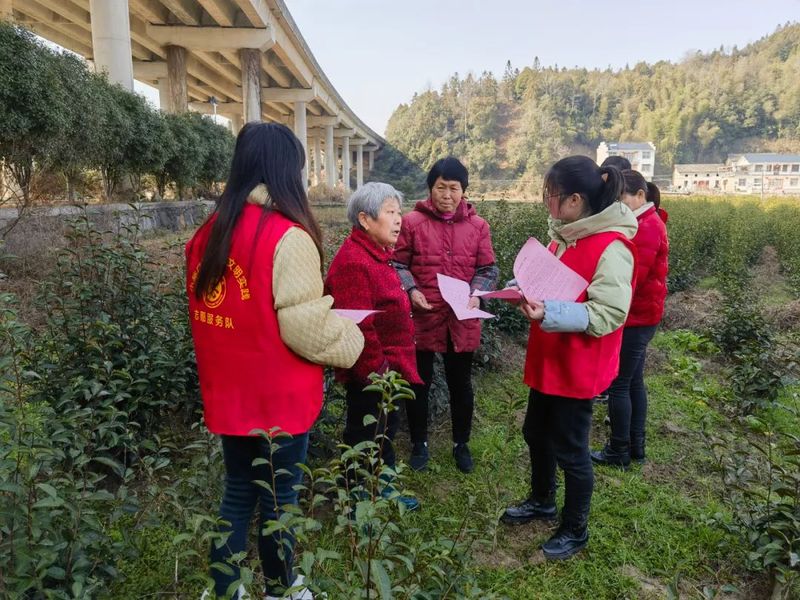 关于小路口镇：抢抓农时，打响新春茶园“绿色防控”保卫战的相关内容