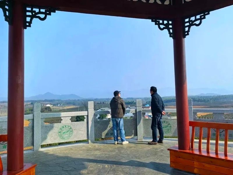 有关于早春行动，赤壁市茶叶协会实地考察万亩茶园的资讯(7)