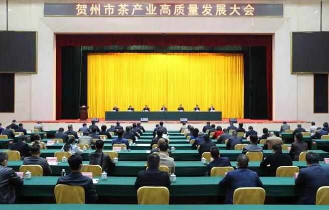 关于贺州市茶产业高质量发展大会召开的信息
