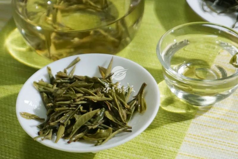 关于不同地区的绿茶采摘时间不同，品鉴早春茶要注意这三点！的消息(3)