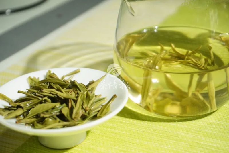 关于不同地区的绿茶采摘时间不同，品鉴早春茶要注意这三点！的消息(1)