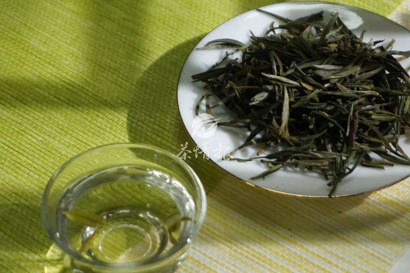 关于不同地区的绿茶采摘时间不同，品鉴早春茶要注意这三点！的消息(2)